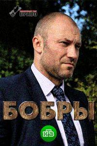 Бобры Бобры