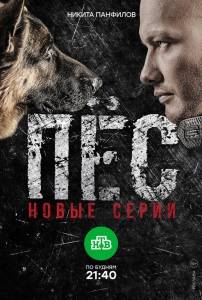 ϸ