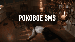  SMS