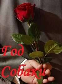 Год собаки Год собаки