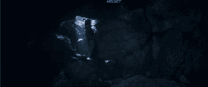 ̸ 