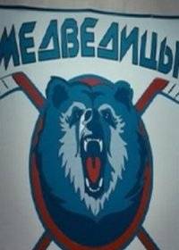 Медведицы Медведицы
