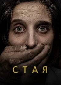 Стая Стая